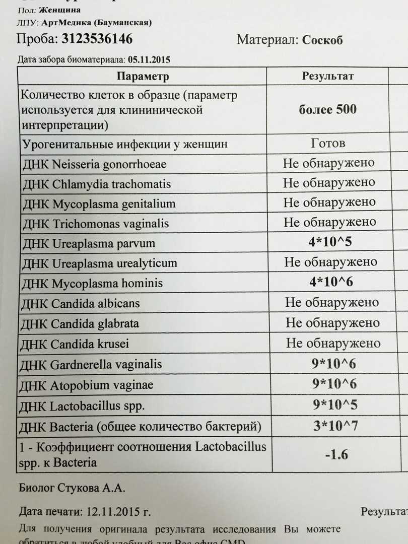 Какие анализы сдать при планировании беременности? чек-лист для тех, кто ответственно планирует детей