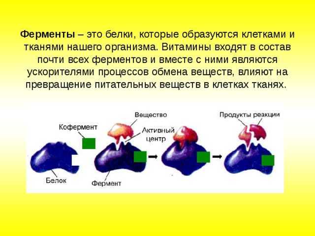 Повышенный уровень тестостерона у женщин
