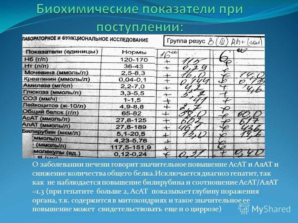 Дисбактериоз кишечника: вопросы и ответы