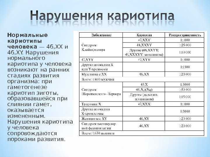 Кариотип — что это за тест? какое значение он имеет при беременности? | аборт в спб