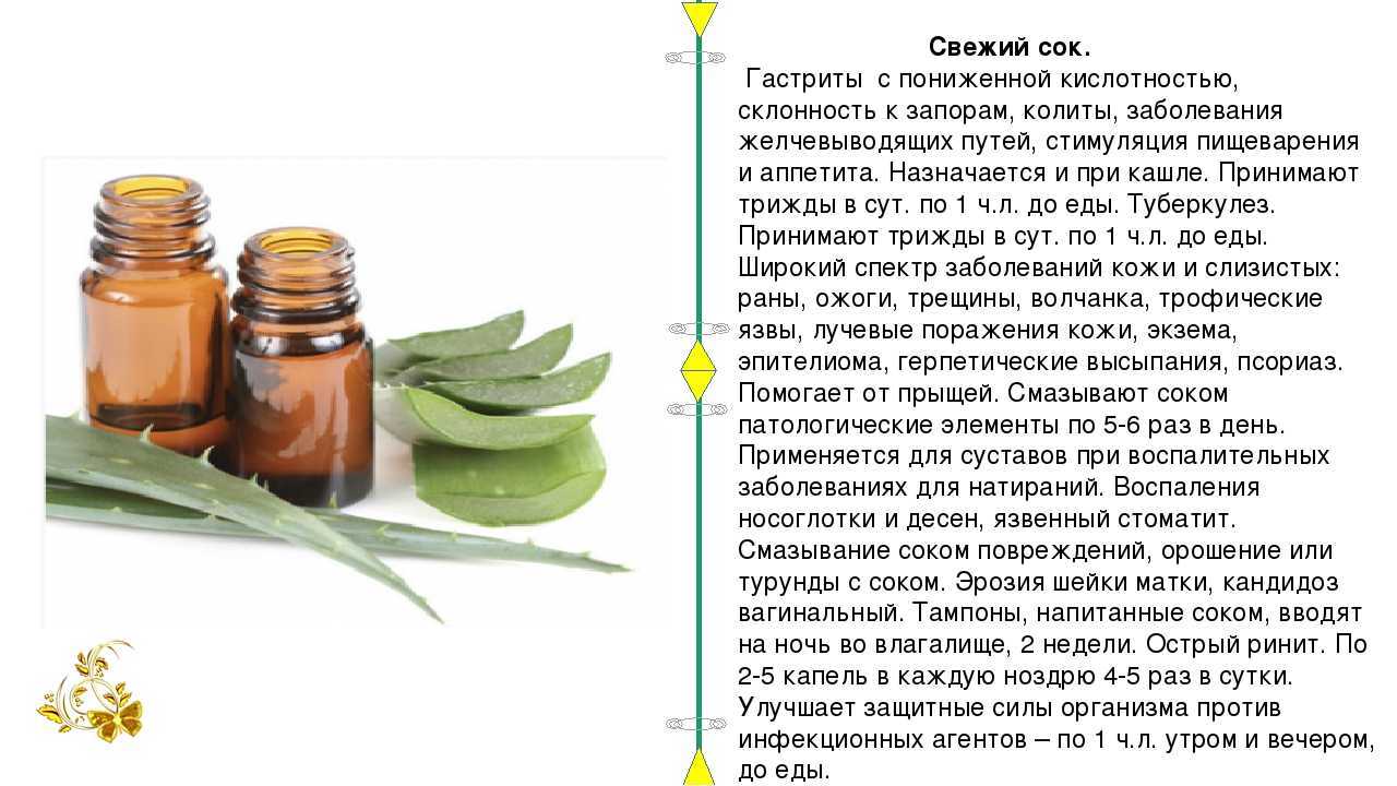 Йогурт при гастрите: состав и польза для организма, употребление при разных формах заболевания, возможный вред