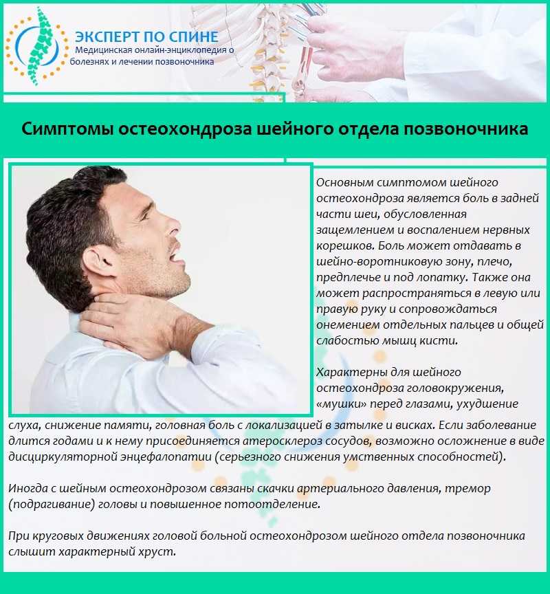 Ременная мышца человека | анатомия ременной мышцы, строение, функции, картинки на eurolab