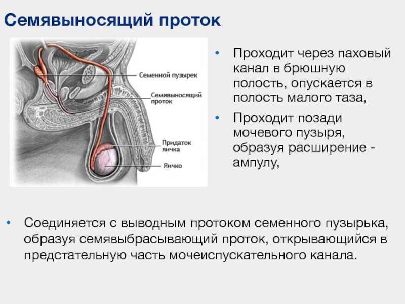Обструкция семявыносящих протоков способы лечения