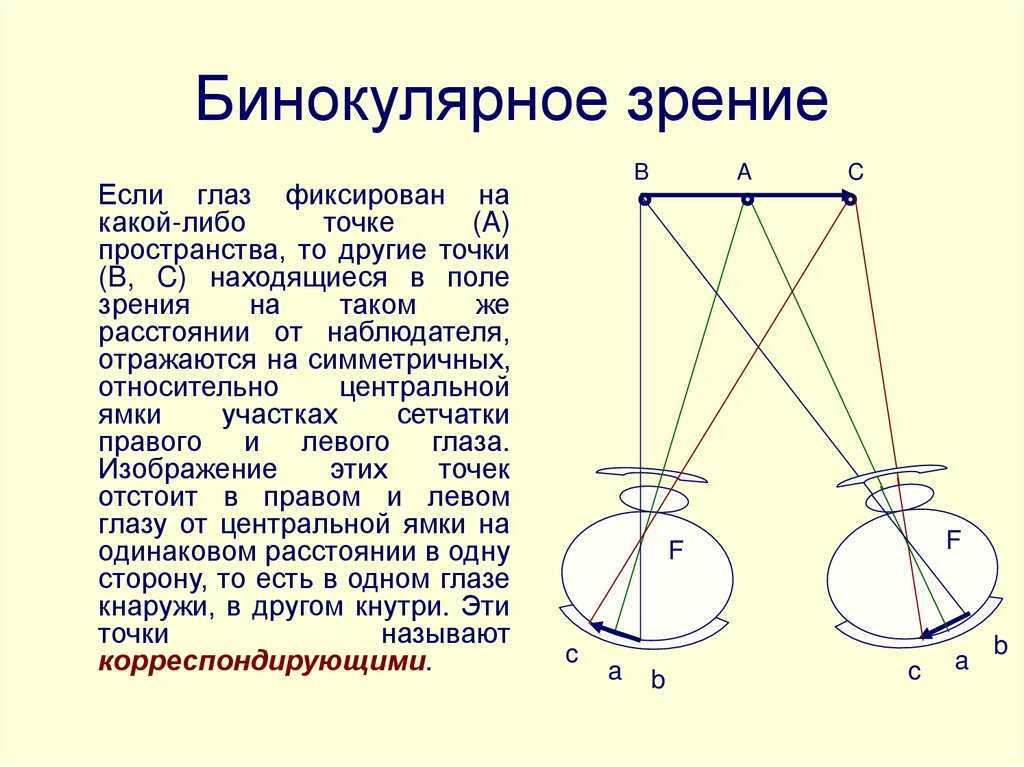 Ортоптика и диплоптика для восстановления бинокулярного зрения