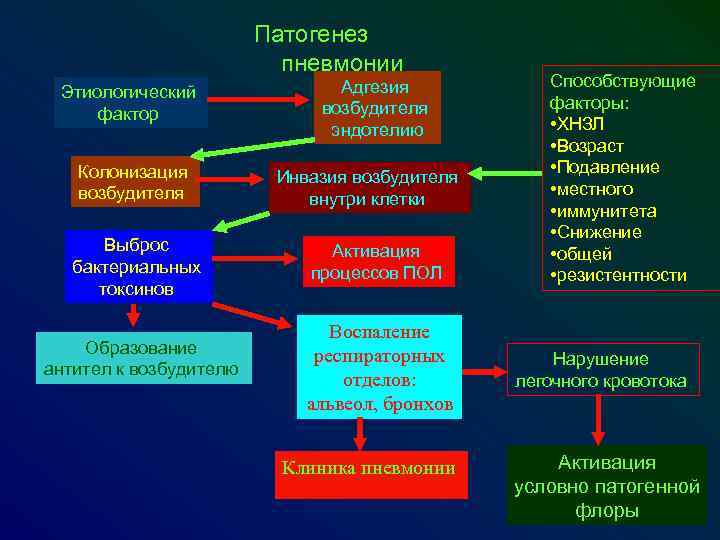 Коронавирус: гистопатология, типы пневмонии, синдром острого респираторного дистресса, сепсис. часть 3