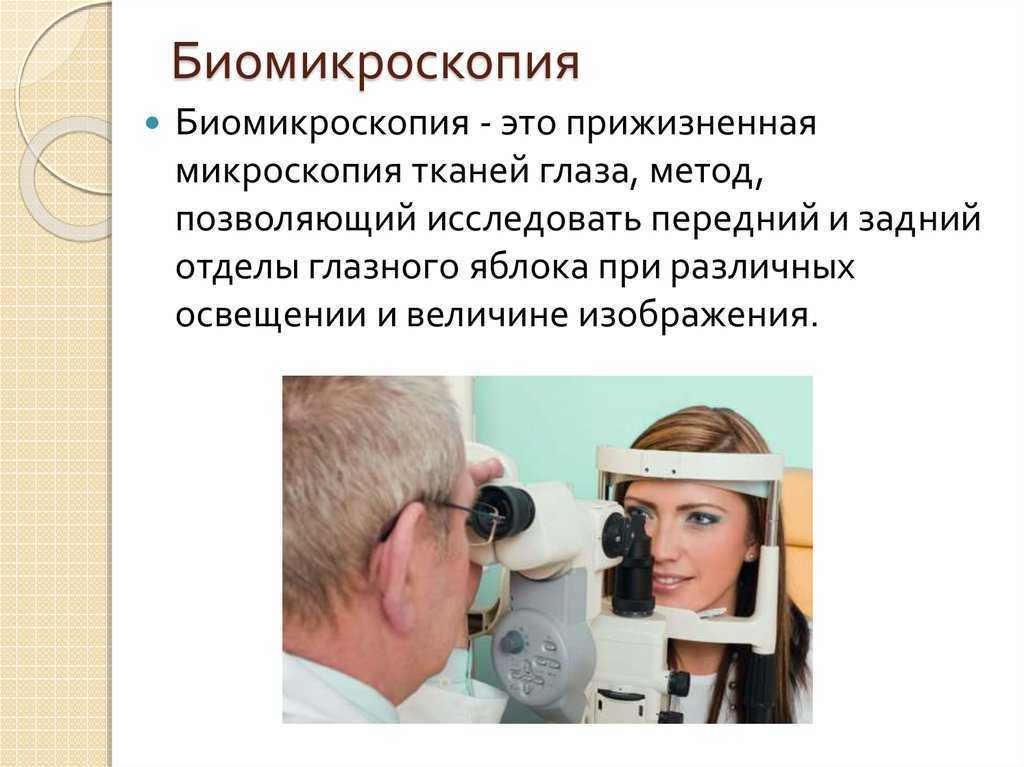 Строение глаза