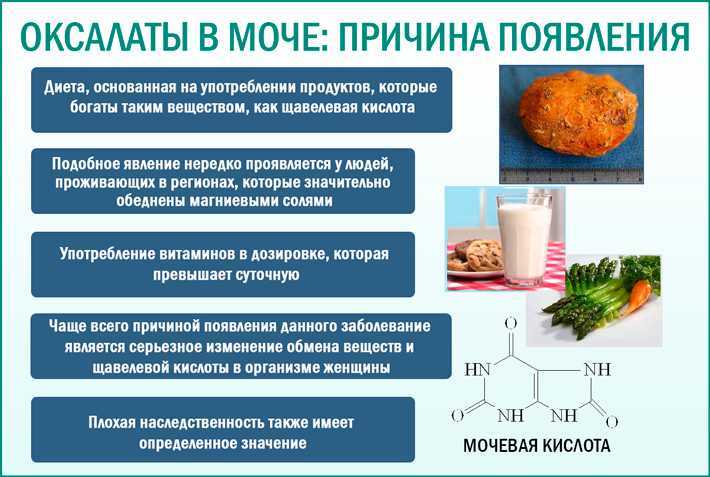 Профилактика мочекаменной болезни -