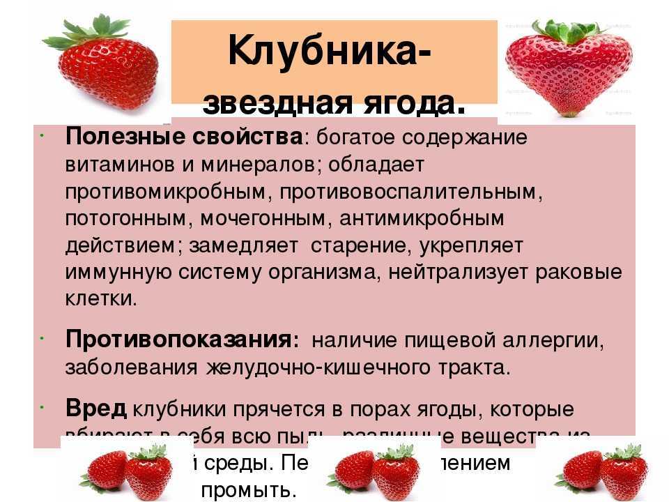 Перекусы при правильном питании, что и когда употреблять