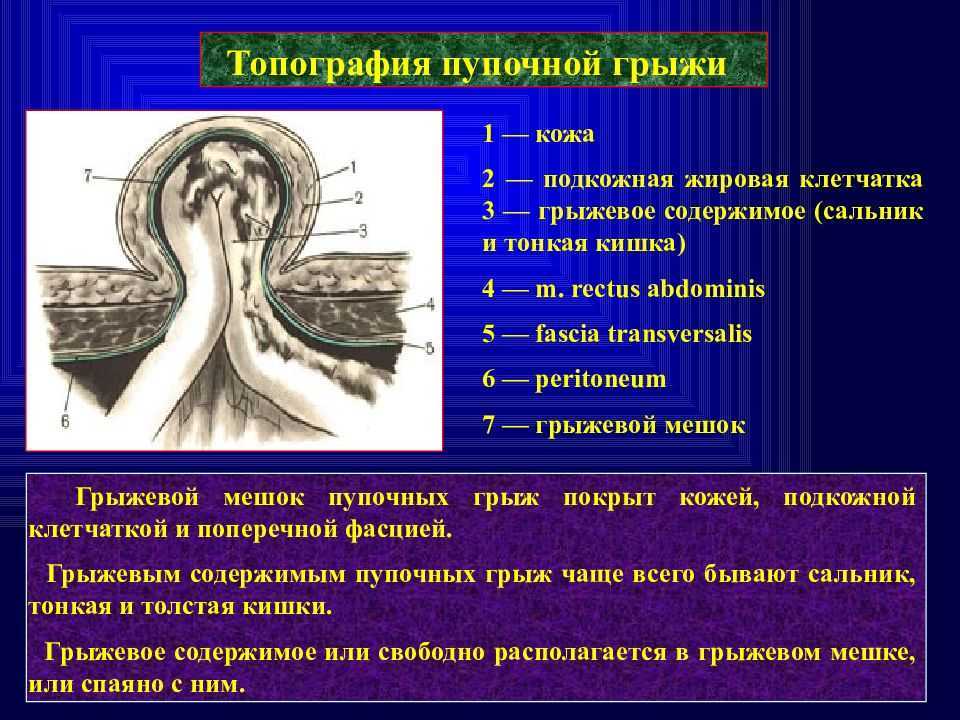   возрастные и функциональные изменения соединений костей - med24info.com