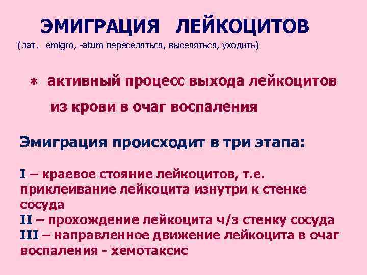 Общий анализ крови: норма и расшифровка результатов
