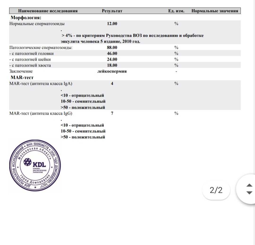какой должен быть анализ спермы фото 106
