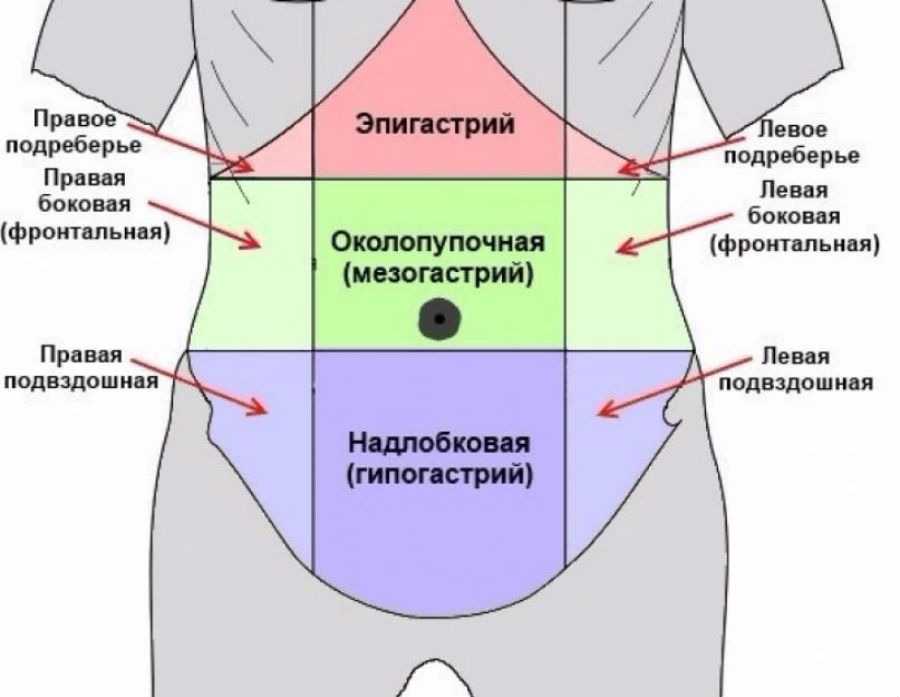 Колена ниже пупка. Эпигастральная (подложечная) область. Топографические области передней брюшной стенки. Отделы живота эпигастрий мезогастрий. Боль в эпигастральной области.