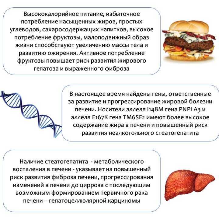 Причины и лечение жирового гепатоза печени. Ожирение печени причины. Лекарство от ожирения печени. Ожирение печени симптомы.