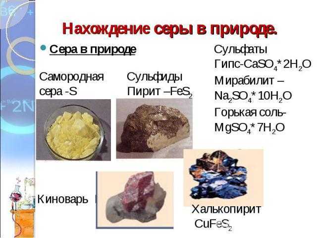 Сера в продуктах питания: влияние на организм | food and health
