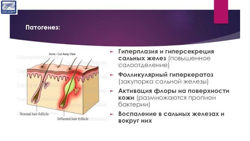 Церамиды в косметике и 4 лучших косметических средства cerave