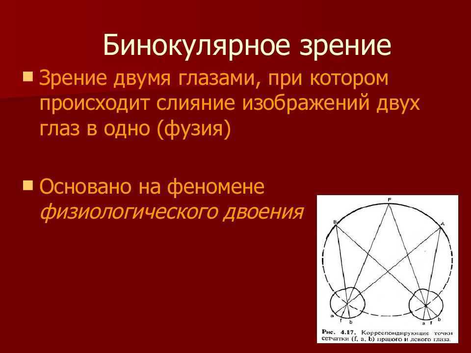 Прочитайте текст бинокулярное зрение