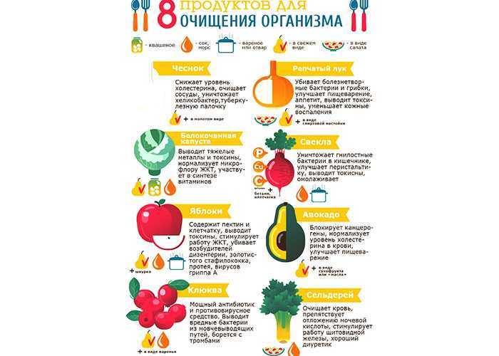 21 продукт, ускоряющий обмен веществ. правильное питание для ускорения обмена веществ