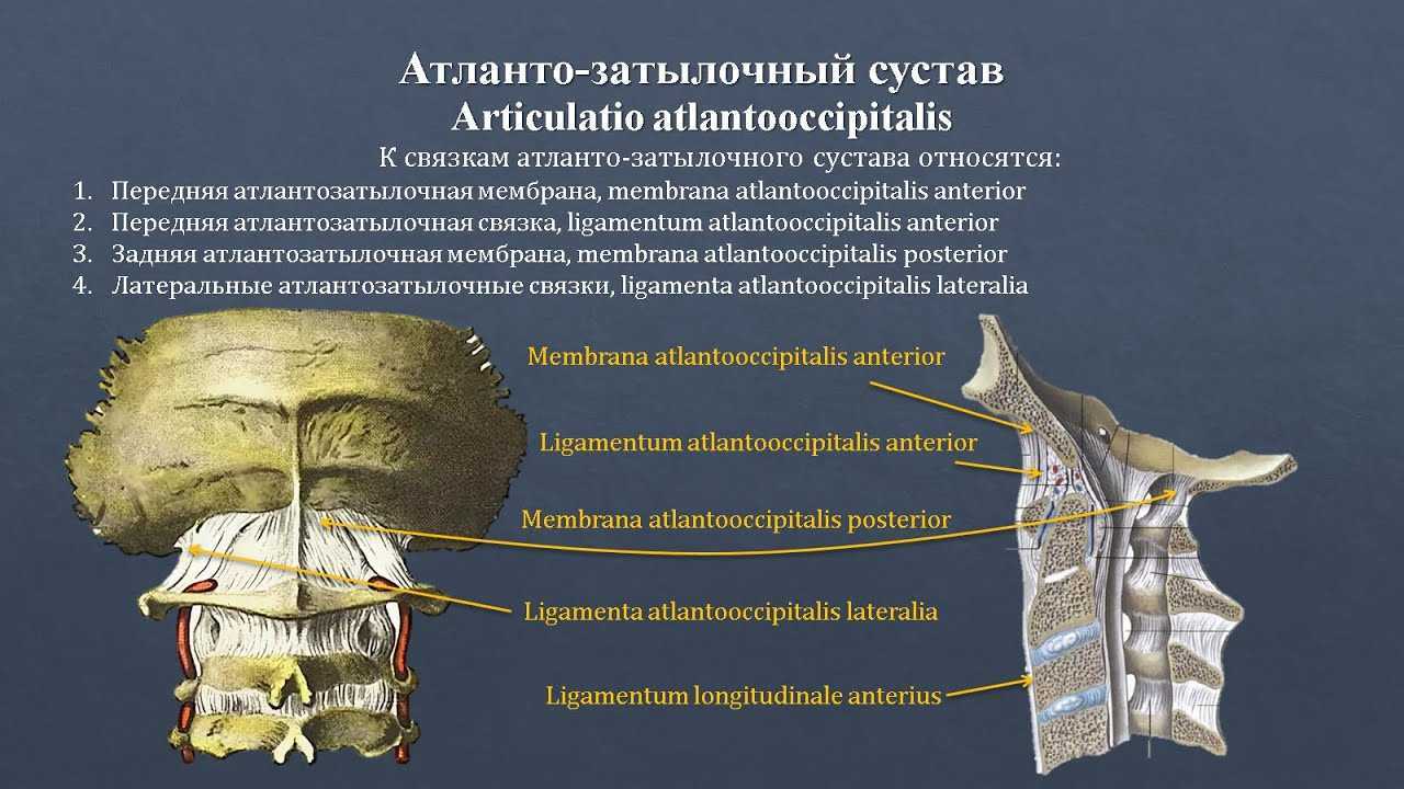 Мр картина асимметрии в атланто аксиальном сочленении