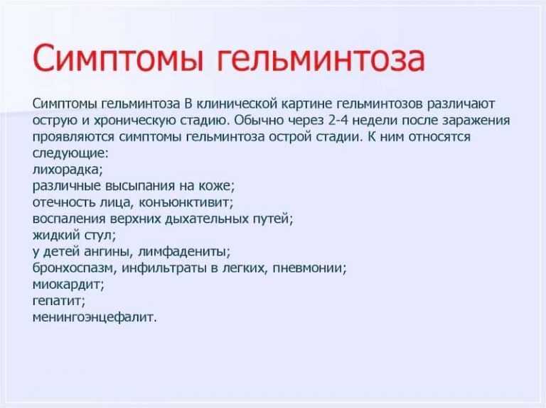 Паразиты – гельминты и лямблии