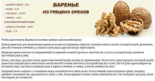 Схема грецкого ореха