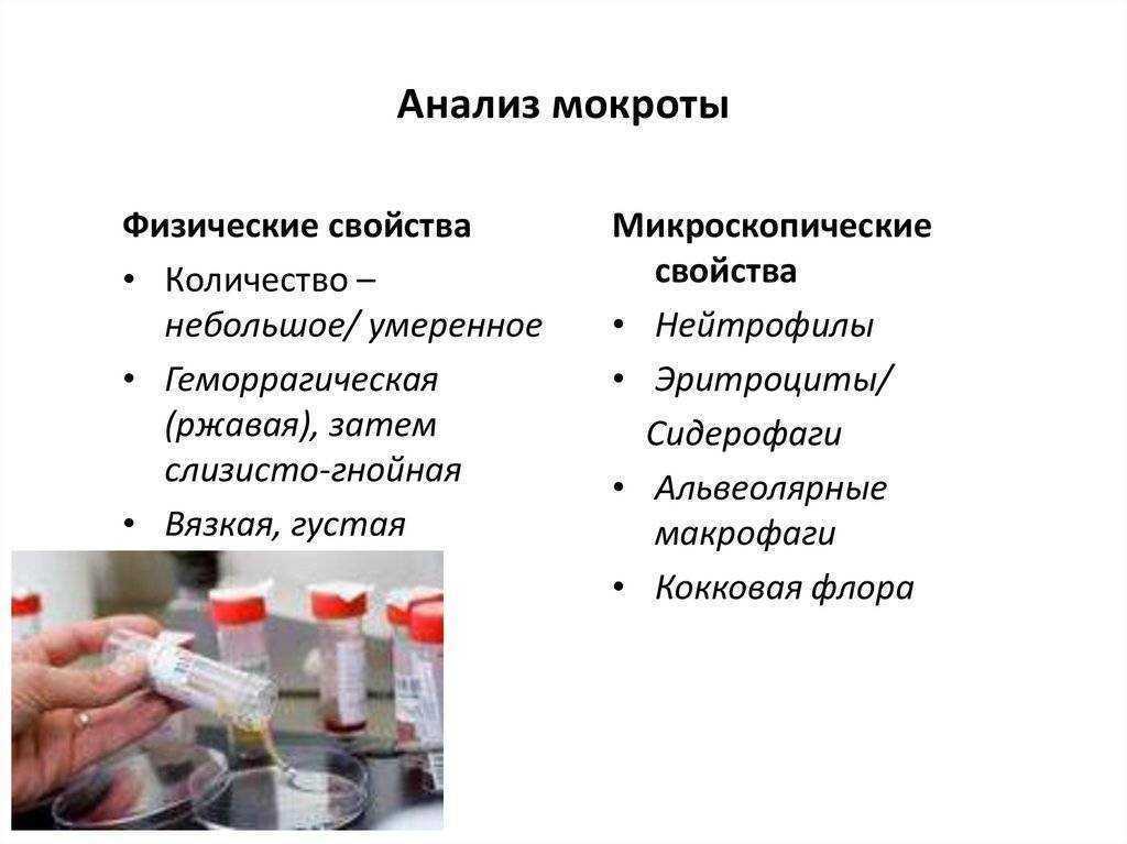Диагностика инфекций: пцр, микробиологические посевы, антитела, асло, анализ ликвора и спермы