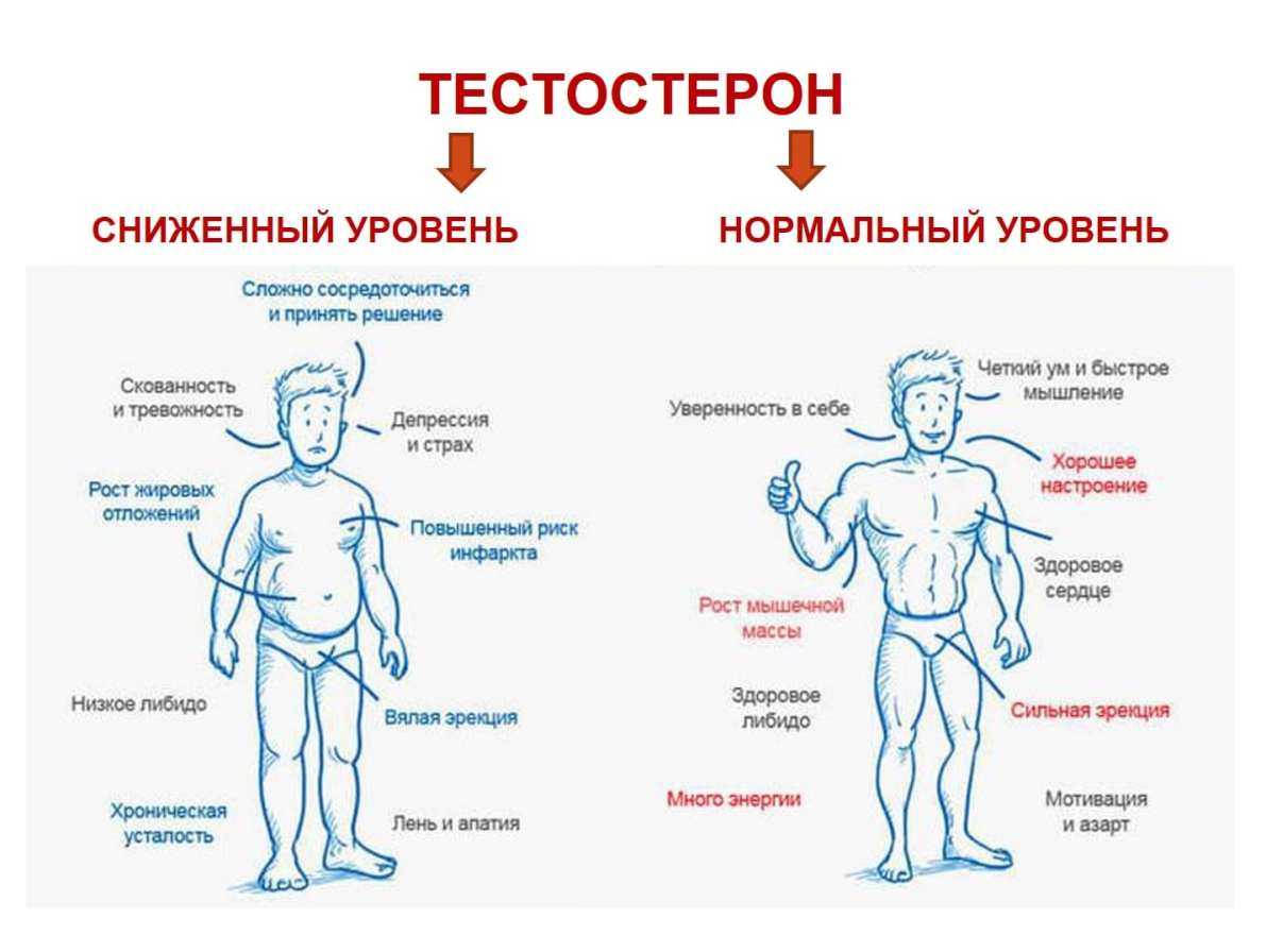 гормональный сбой может болеть грудь фото 43