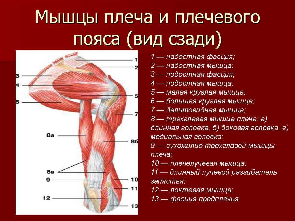 Лечение импиджмент-синдрома плечевого сустава