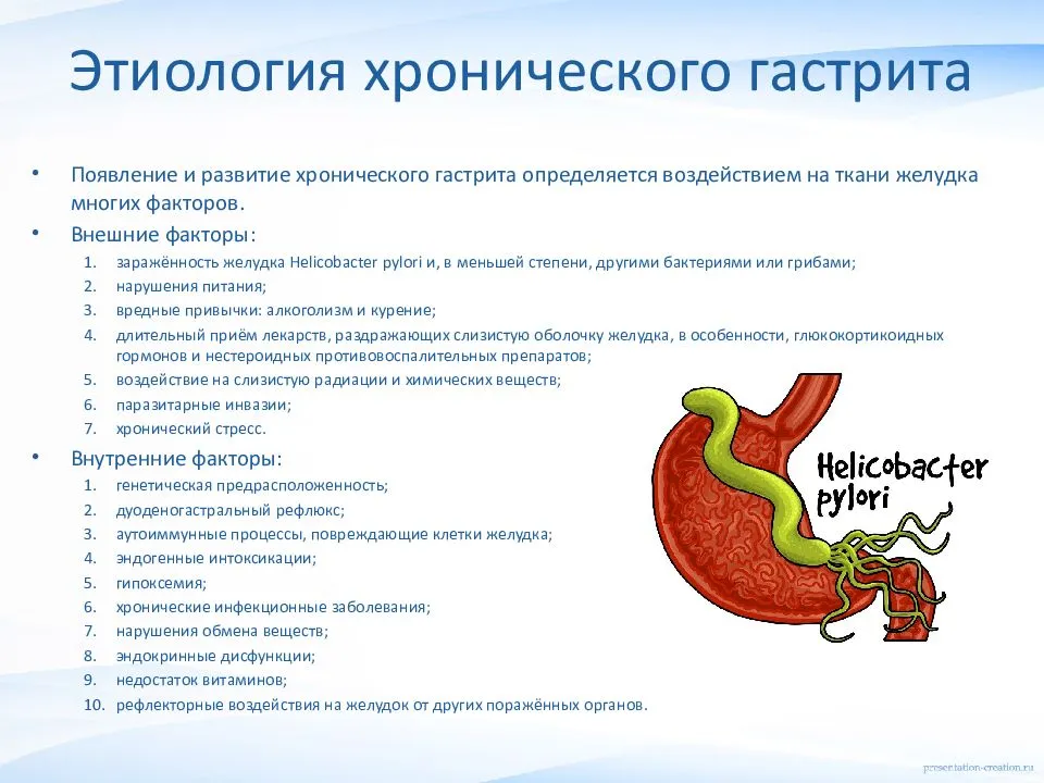 Возрастные особенности оболочек различных отделов желудка у человека от рождения до конца юношеского возраста - автореферат диссертации по медицине скачать бесплатно на тему 'анатомия человека', специальность вак рф 14.00.02