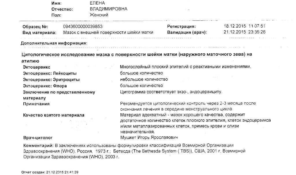 Фагоциты: определение, виды, функции | food and health