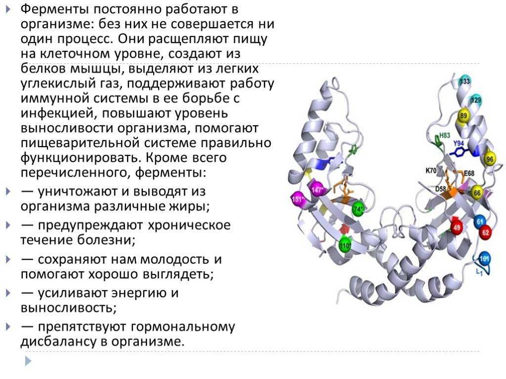 Пациентам: стоит ли паниковать из-за повышенного холестерина?