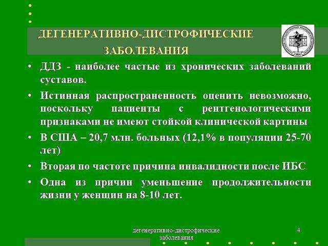 Позвоночник у человека: строение позвоночного столба, за что отвечает каждый позвонок