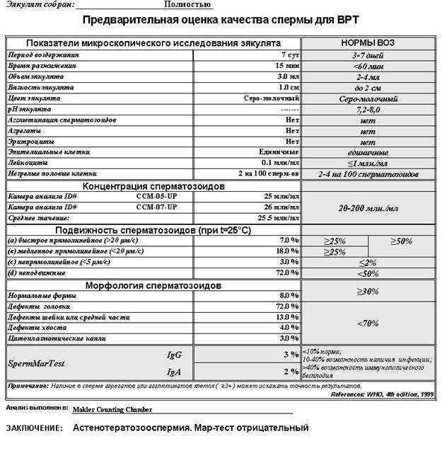 Спермограмма и эко
