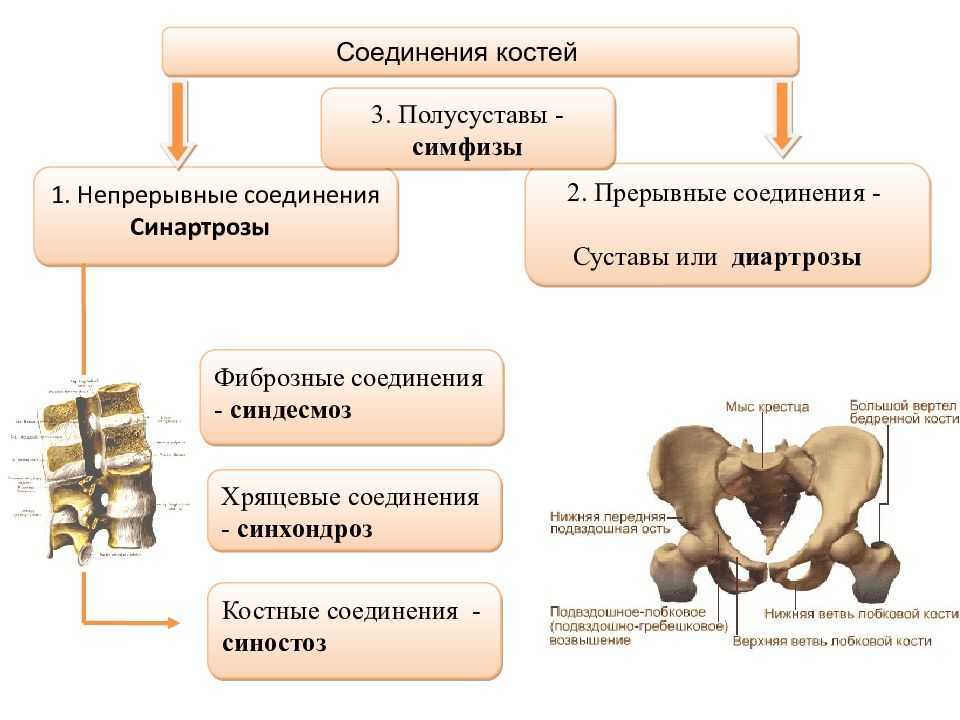 Биология