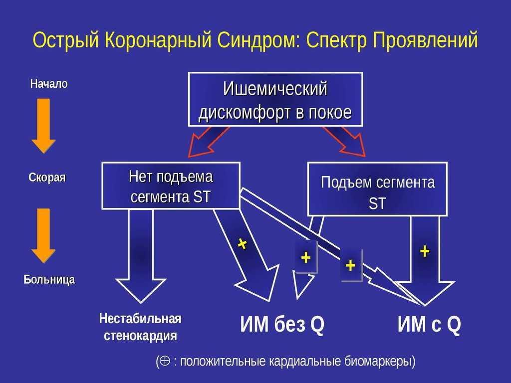 Презентация по окс