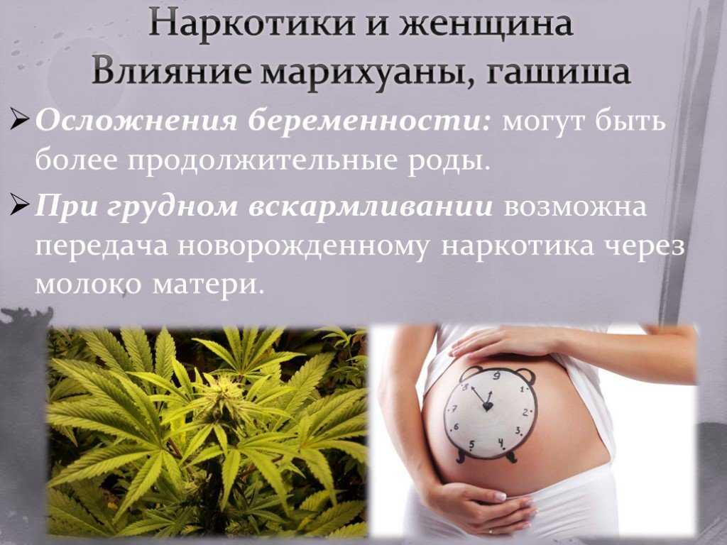 Марихуана и планирование беременности дни проращивания семян конопли