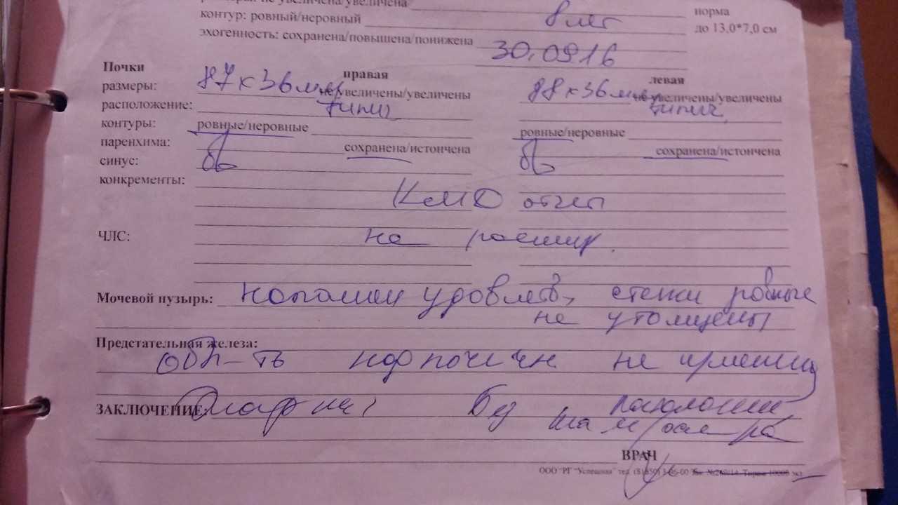 Направление на узи почек образец