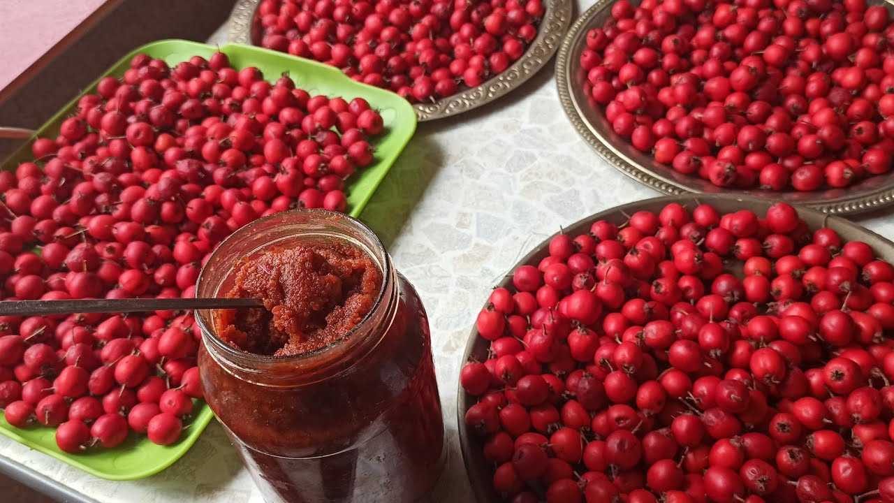 Можно ли боярышник при сахарном диабете 2 типа