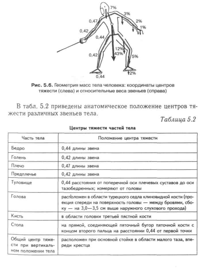 Спортивная ходьба: виды, техника, дистанции