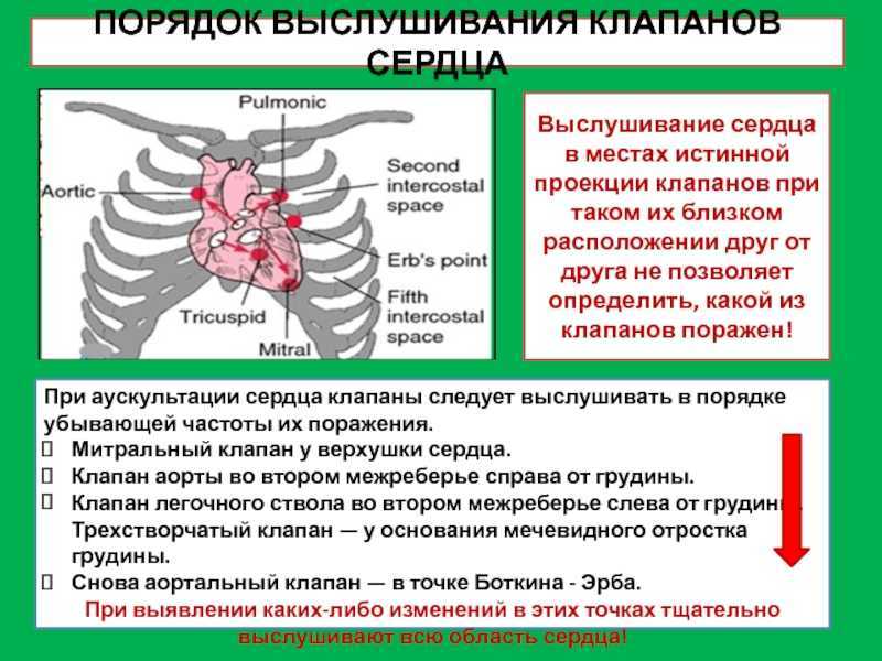 Особенность аускультативной картины сердца у детей тест с ответами