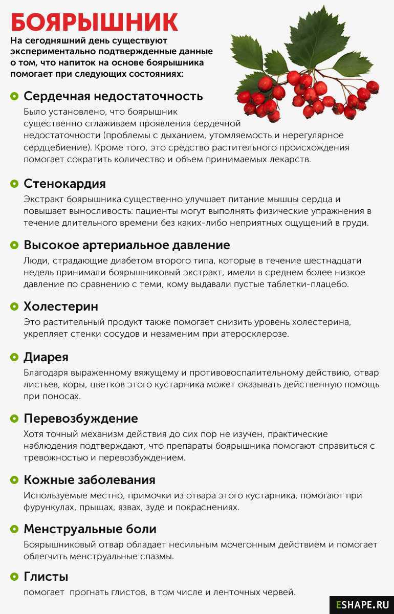 Ирга — что это такое, чем полезна ягода и что можно из нее готовить? свойства и противопоказания для организма мужчин, и женщин