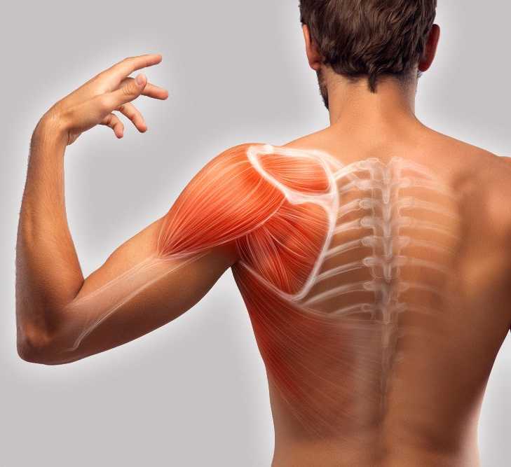 10 причин боли в спине в области поясницы, лечение у взрослых