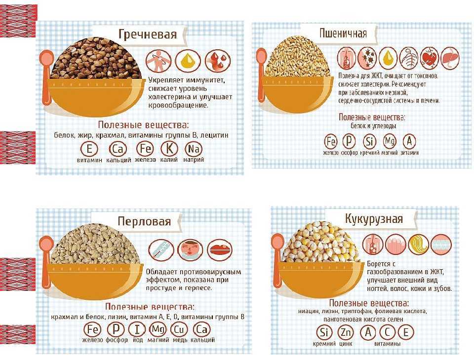 Полезно ли есть несколько раз в день небольшими порциями?