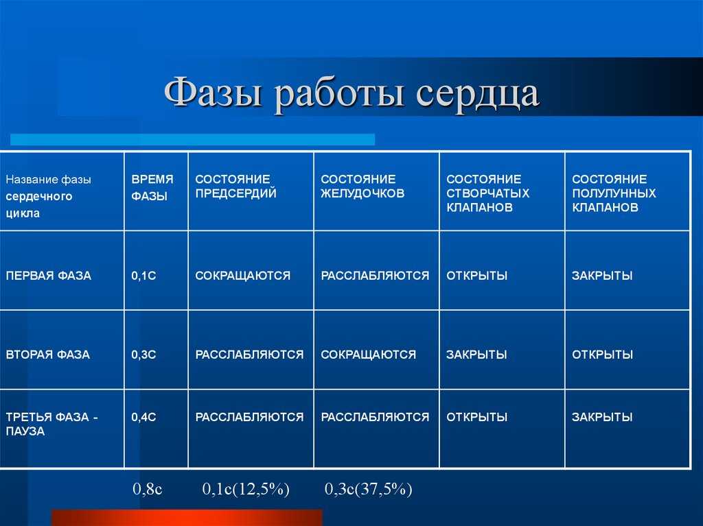 Фаза фаза 2 3 4 5. Таблица фазы сердечного цикла Длительность фазы. Фазы сердечной деятельности таблица. Фазы сердечного цикла 8 класс биология. Биология фазы сердечного цикла таблица.