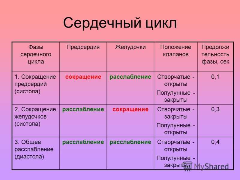 Рассмотрите рисунок схемы сердечного цикла и назовите изображенную фазу ответ поясните