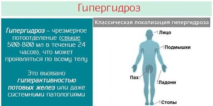 Потоотделение картинки биология