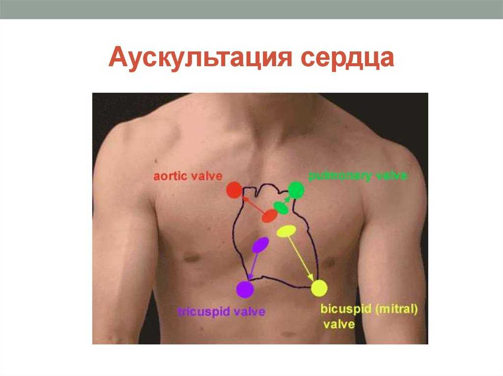 Аускультация сердца. Пускультация сердцасердца. Выслушивание сердца. Точки аускультации сердца.