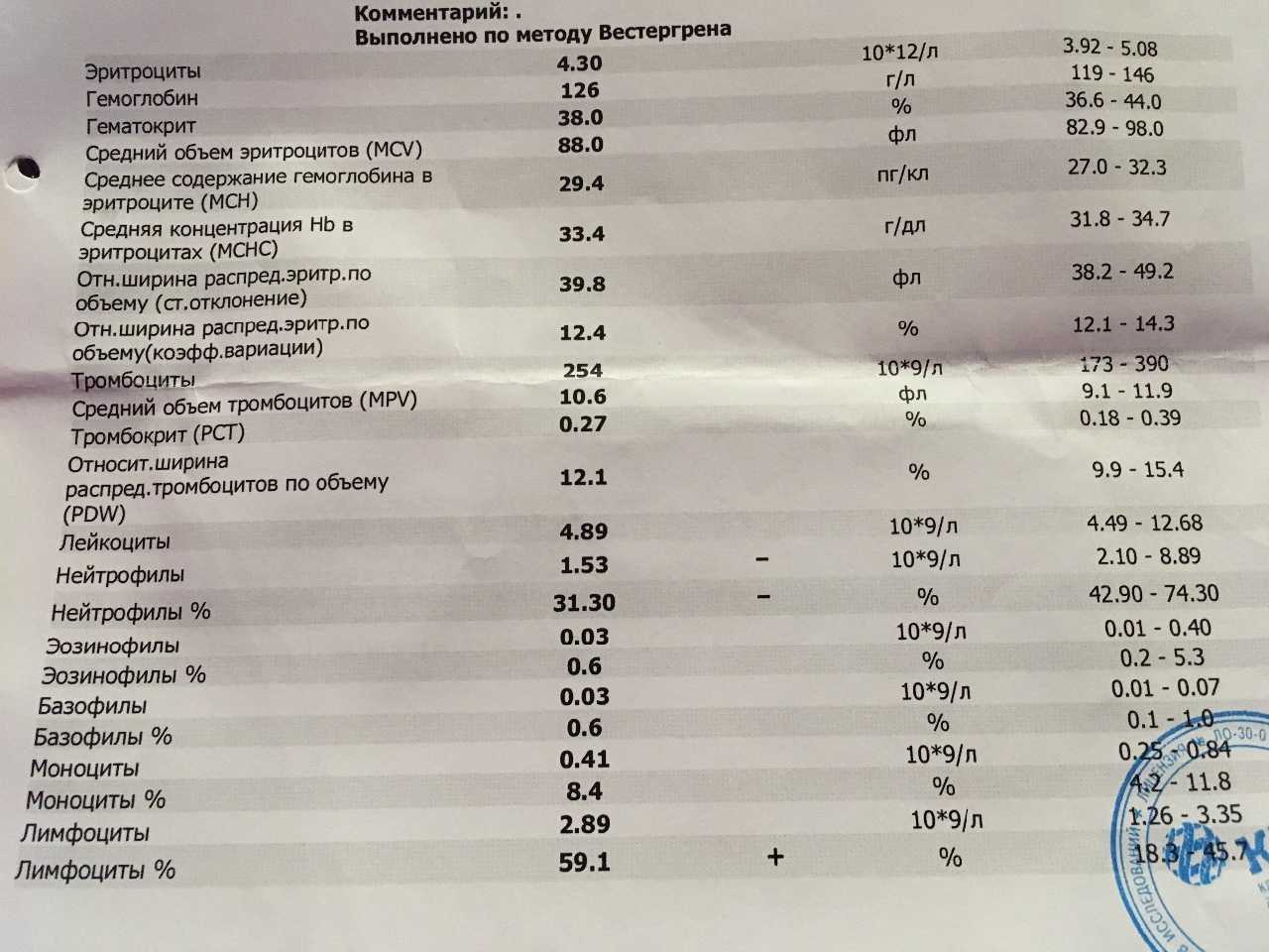 у мужчины в сперме повышены лейкоциты в фото 89