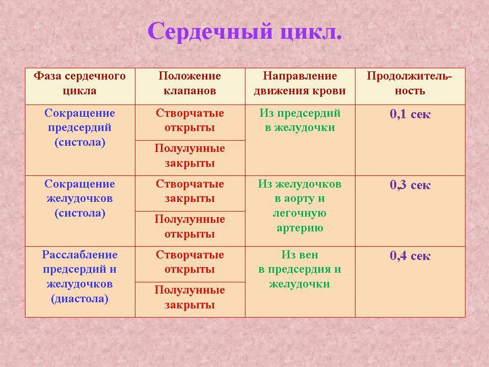 Диаграмма изменения давления и объема крови в желудочках сердца во время сердечного цикла