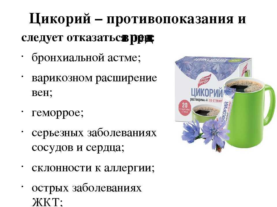 Цикорий: польза и вред для здоровья. сколько и как можно пить - сила здоровья