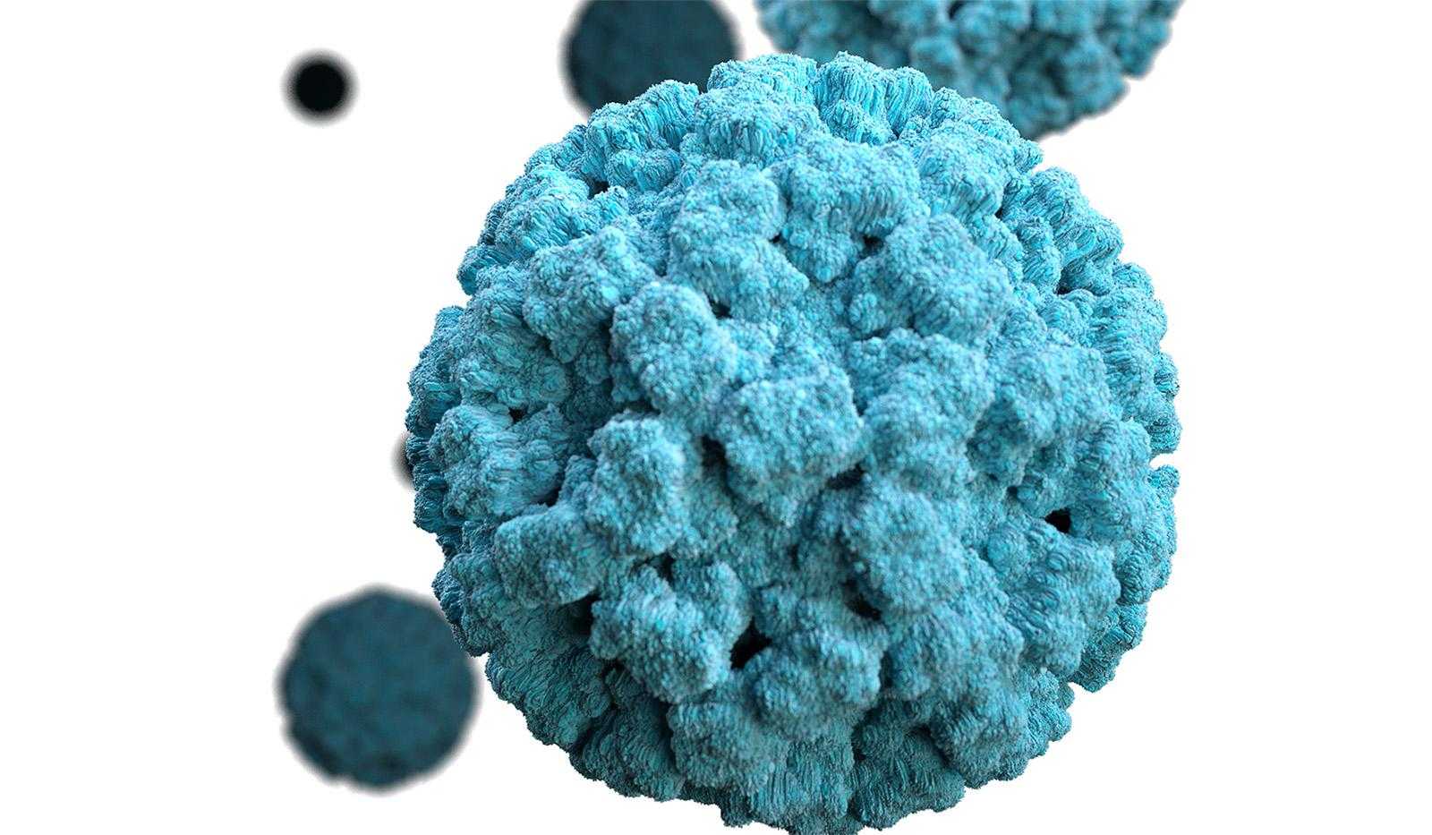 Норовирус 2 генотип. Ротавирус и норовирус. Ротавирус норовирус астровирус. Норовирусная инфекция микробиология. Норовирусная инфекция картинки.